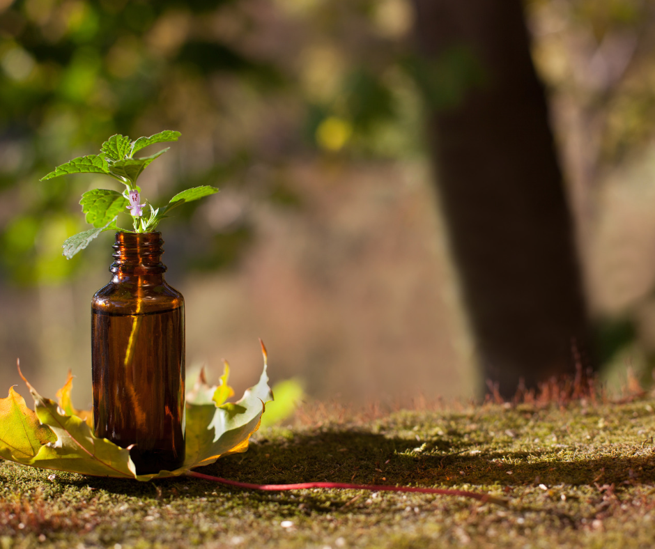 Bach Flower Remedies: Conquer Stress & Wellness Challenges